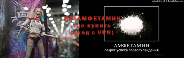 ПСИЛОЦИБИНОВЫЕ ГРИБЫ Болотное