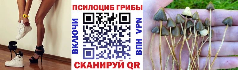 Псилоцибиновые грибы мухоморы  Первомайск 